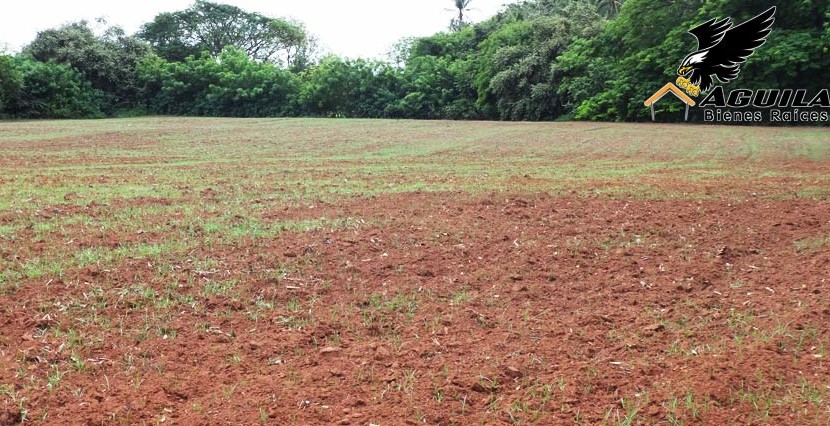 Las Tablas - Terreno