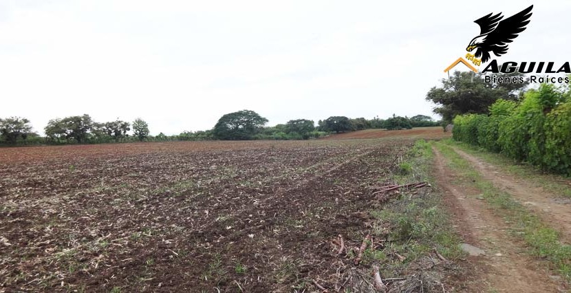 Las Tablas - Terreno