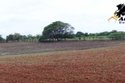 Las Tablas - Terreno