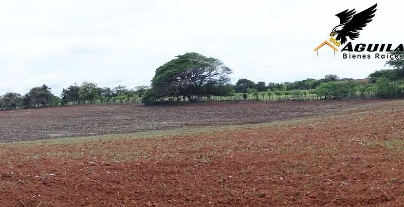 Las Tablas - Terreno