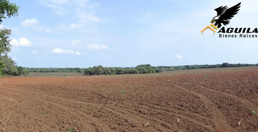 Las Tablas - Terreno