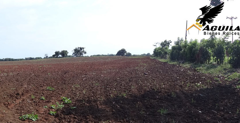 Las Tablas - Terreno