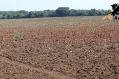 Las Tablas - Terreno