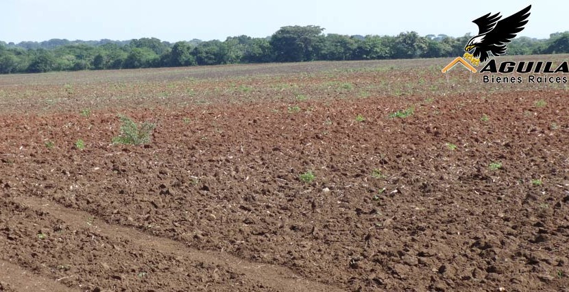 Las Tablas - Terreno