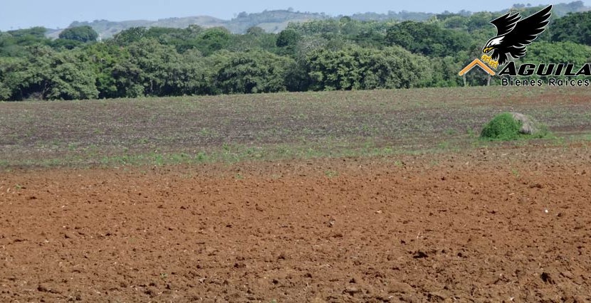 Las Tablas - Terreno