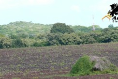 Las Tablas - Terreno