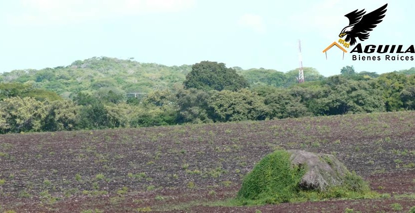 Las Tablas - Terreno