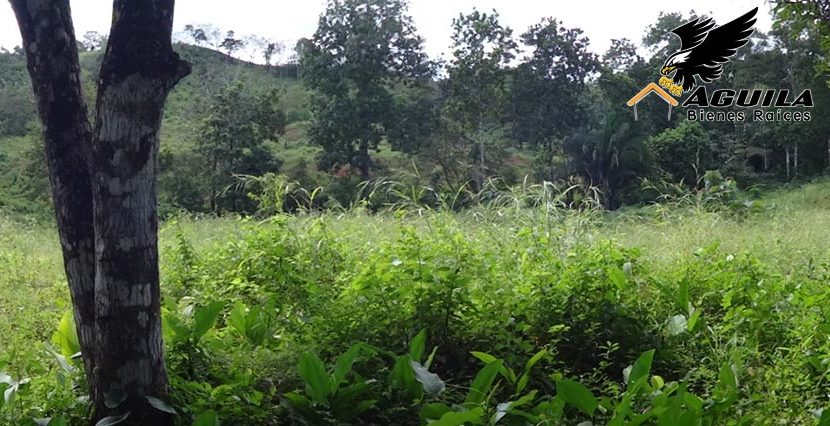 Terreno en Paraíso, Colón