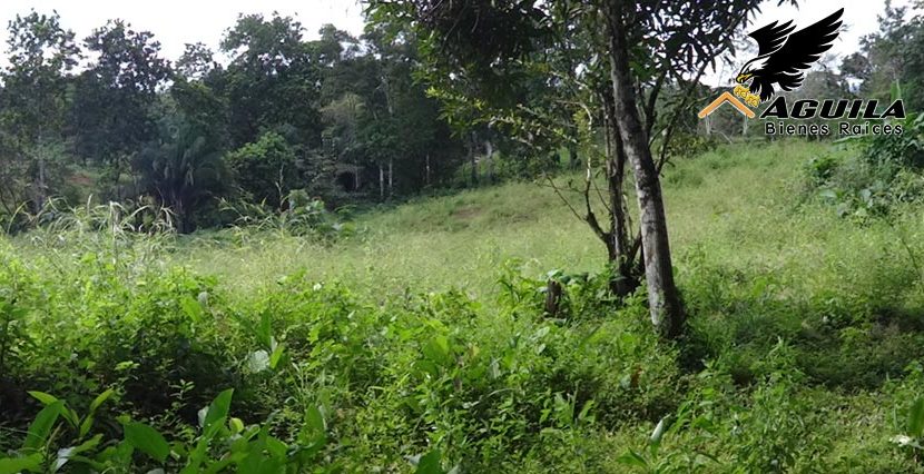 Terreno en Paraíso, Colón