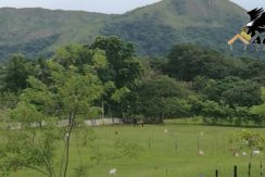 Terreno en Tanara, Panamá Este