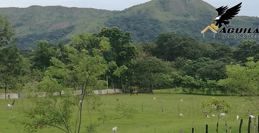 Terreno en Tanara, Panamá Este