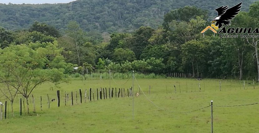 Terreno en Tanara, Panamá Este